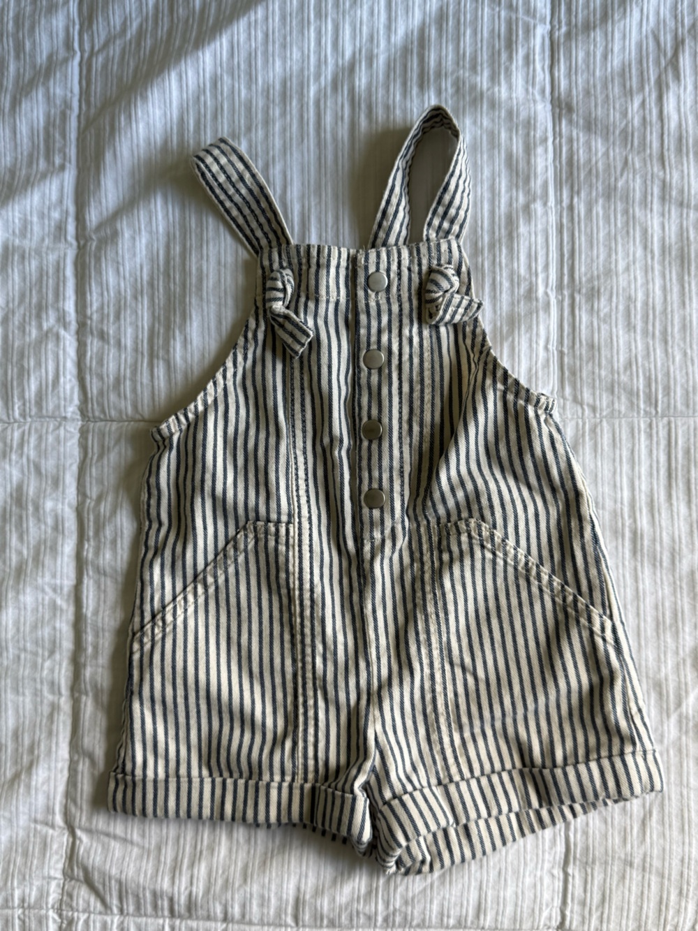 Railroad overalls